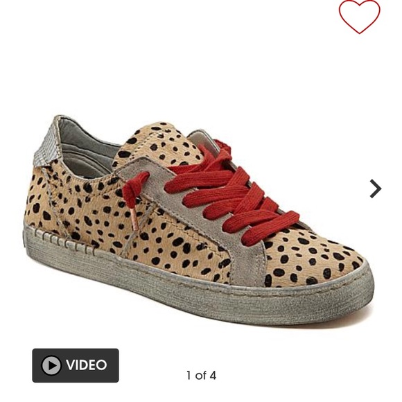 dolce vita leopard sneakers